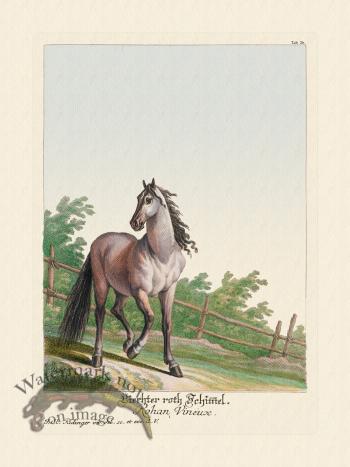 Ridingers Horses 26
